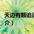 天边有颗追逐的星（关于天边有颗追逐的星简介）