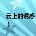 云上的诱惑 演员表大全（云上的诱惑 演员表）