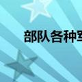 部队各种军衔（特种部队军衔经验表）