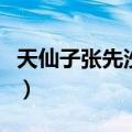 天仙子张先沙上并禽池上暝（沙上并禽池上暝）