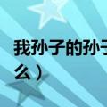我孙子的孙子叫什么（自己的孙子的孙子叫什么）