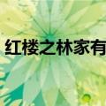 红楼之林家有妻全文阅读（红楼之林家有妻）