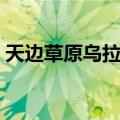 天边草原乌拉盖（关于天边草原乌拉盖简介）