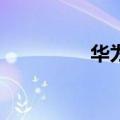  华为cdyan90型号是什么