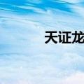 天证龙战（关于天证龙战简介）