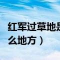 红军过草地是什么地方的人（红军过草地是什么地方）