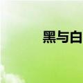 黑与白2怎么玩（黑与白2攻略）