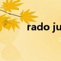 rado jubile所有型号120.0281.3