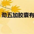 劲五加胶囊有副作用吗（劲五加效果怎么样）