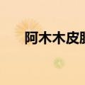 阿木木皮肤殇之机器人（阿木木皮肤）