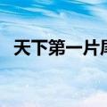 天下第一片尾曲叫什么（天下第一片尾曲）