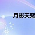 月影天殇圣灵血液在哪（月影天殇）