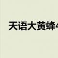 天语大黄蜂4G（关于天语大黄蜂4G简介）