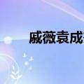戚薇袁成杰分手原因（戚薇 袁成杰）