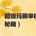 超级玛丽单机版秘籍怎么用（超级玛丽单机版秘籍）