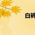 白裤瑶女性夏装（baiku）