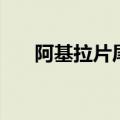 阿基拉片尾曲（银发的阿基多主题曲）