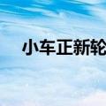 小车正新轮胎价格表（正新轮胎价格表）