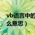 vb语言中的dim是什么意思（vb中dim是什么意思）