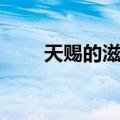 天赐的滋味（关于天赐的滋味简介）