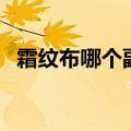 霜纹布哪个副本刷最快（霜纹布去哪里刷）