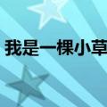 我是一棵小草歌词歌谱（我是一棵小草歌词）