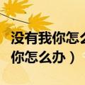 没有我你怎么办你的泪水谁为你擦干（没有我你怎么办）