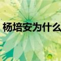 杨培安为什么唱不了高音了（杨培安最高音）