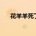 花羊羊死了时候（花羊羊是怎么死的）