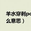 羊水穿刺pcr检查是什么意思（pcr检查是什么意思）