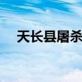 天长县屠杀案（关于天长县屠杀案简介）