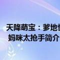 天降萌宝：爹地快来 妈咪太抢手（关于天降萌宝：爹地快来 妈咪太抢手简介）