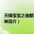 天降宝宝之谁都别惹我妈咪（关于天降宝宝之谁都别惹我妈咪简介）