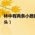 林中有两条小路都望不到头 诗歌（林中有两条小路都望不到头）