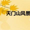 天门山风景区（关于天门山风景区简介）