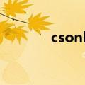 csonline捉迷藏（cs捉迷藏）