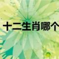 十二生肖哪个是师傅（十二门徒是什么生肖）
