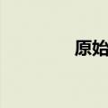 原始凭证类型（凭证类型）