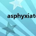asphyxiated英文释义（asphyxiated）