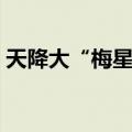 天降大“梅星”（关于天降大“梅星”简介）