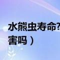 水熊虫寿命?水熊虫是否有害?（水熊虫对人有害吗）