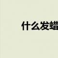 什么发蜡好用好清洗（什么发蜡好）