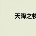 天降之物A（关于天降之物A简介）