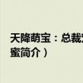 天降萌宝：总裁宠妻甜蜜蜜（关于天降萌宝：总裁宠妻甜蜜蜜简介）