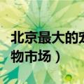 北京最大的宠物狗市场在哪里（北京最大的宠物市场）