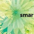 smartmotor.ltd indonesia