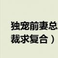 独宠前妻总裁求复合百度网盘（独宠前妻 总裁求复合）