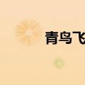 青鸟飞鱼合体（青鸟飞鱼组合）
