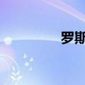罗斯25号壁纸（罗斯2 5）