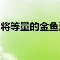 将等量的金鱼藻分别放入盛有凉开水的甲烧杯